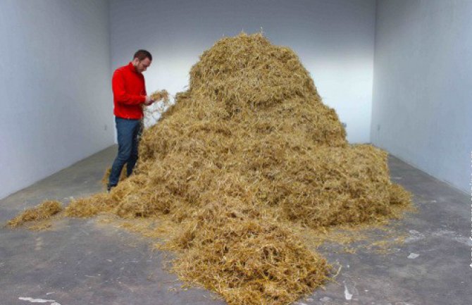 Traži iglu u plastu sijena ali stvarno!