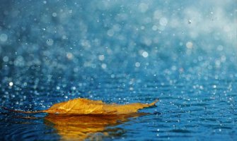 Sjutra kišovito, do 16 stepeni