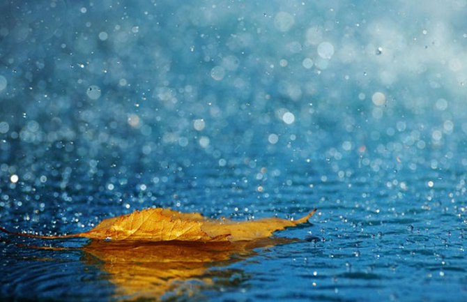 Sjutra kišovito, do 16 stepeni