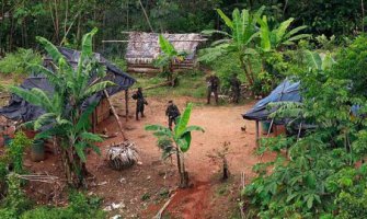 Zbog kokaina nestaju šume