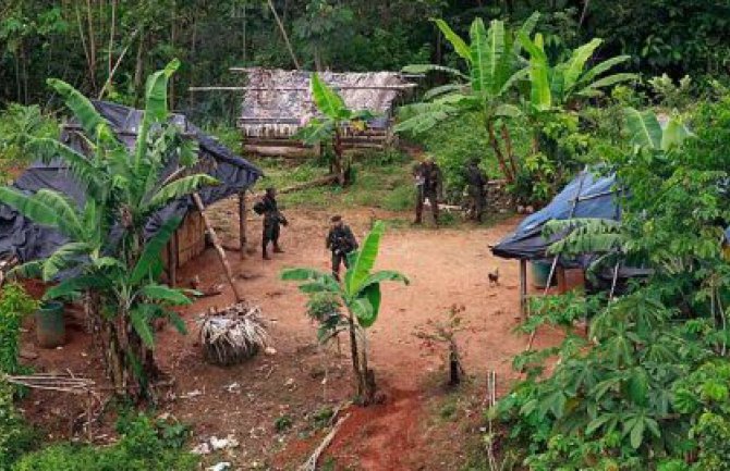 Zbog kokaina nestaju šume