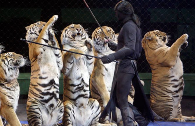 Nova zabrana: Nema više životinja u cirkusima