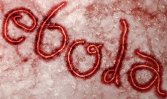 Broj umrlih od ebole porastao na 6.583