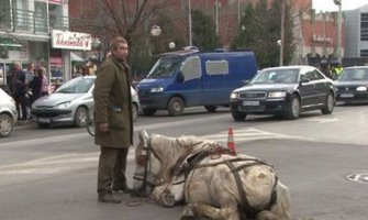 Brutalno pretukao konja u centru Jagodine!