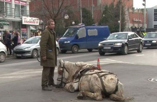 Brutalno pretukao konja u centru Jagodine!