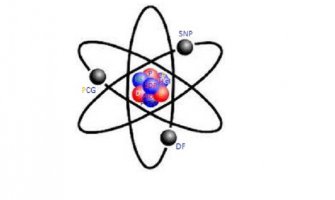 Zejnilović: Referentna tačka crnogorskog političkog sistema je Milo Đukanović