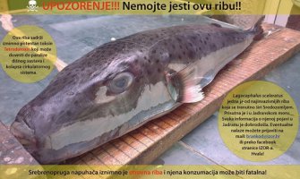 Oprez: Nemojte jesti ovu ribu!