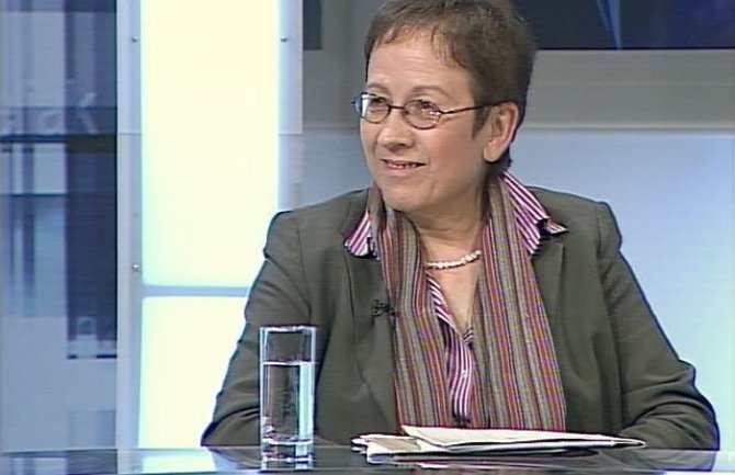 Štajnaker: Zakoni dobri, samo ih primijenite 