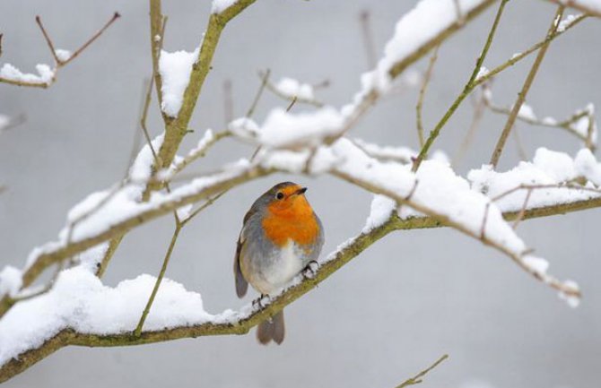 Do petka padavine, obilnije u srijedu