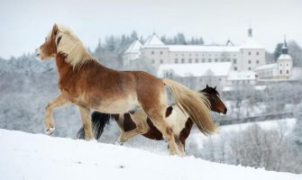 Dans hladno, do 10 stepeni; Regionu prijeti sniježno nevrijeme