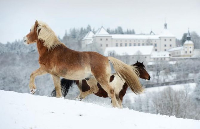 Dans hladno, do 10 stepeni; Regionu prijeti sniježno nevrijeme