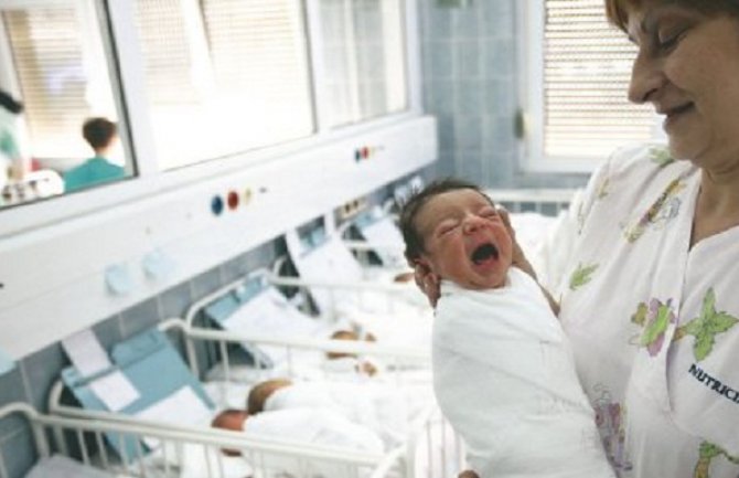 Bijela kuga zahvatila Srbiju, BiH i Hrvatsku, Crna Gora i Makedonija 