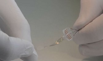 Paralizovani pacovi prohodali zahvaljujući implantu