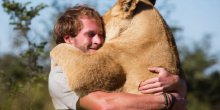Lav zagrlio čovjeka koji mu je spasao život (VIDEO)