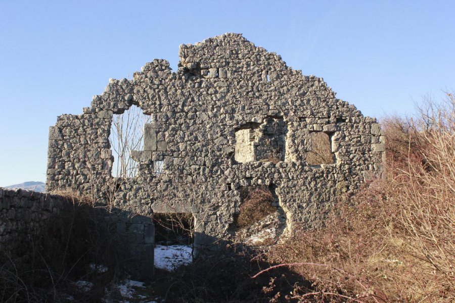 aapicture201501314427239web