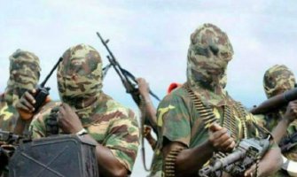 Grad oslobođen od Boko Harama