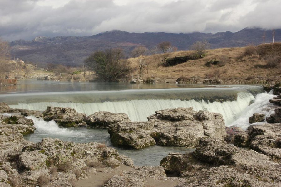 aapicture201502084487986web