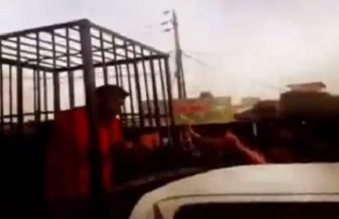 Džihadisti u kavezima voze Pešmerge kroz Kirkuk 