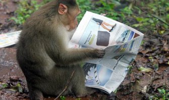 Bračni par nasledstvo ostavlja majmunu