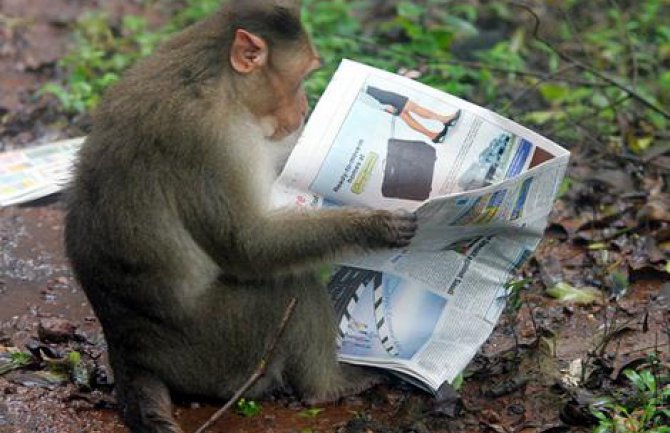 Bračni par nasledstvo ostavlja majmunu