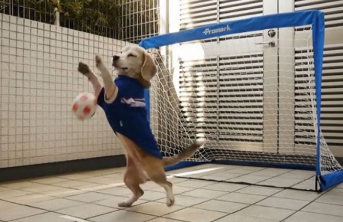 Da li je ovo najslađi golman na svijetu (VIDEO)