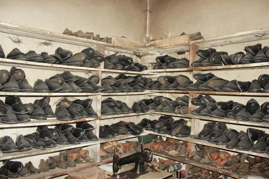 aapicture201503074718354web