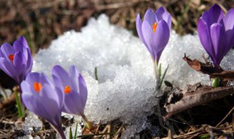 Od danas zahlađenje, snijeg na sjeveru 