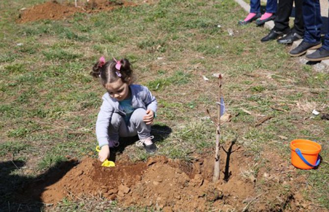 Ivanović: Trećina stanovništva u direktnoj zavisnosti od šumskih resursa