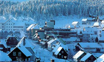 Aleksandra Vuković nastaviće svoje političko djelovanje u DEMOS-u