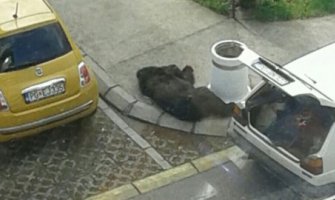 Krivična prijava protiv NN lica