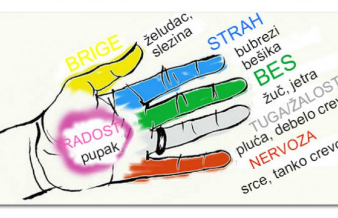 Prsti na rukama neraskidivo su povezani sa organima našeg tijela