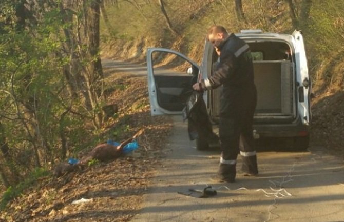 Novi Sad: Usmrtili 10 pasa, odsjekli im glave i odrali kožu