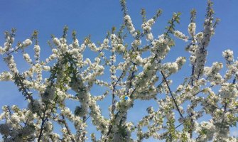 Pretežno sunčano, do 28 stepeni