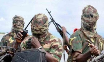 Vojska spasila 178 osoba od Boko harama