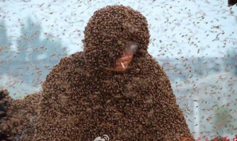 Kinez četiri i po sata bio prekriven s više od milion pčela