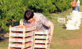 Ministarka brala besplatno, sezonci neće dobiti ni cent