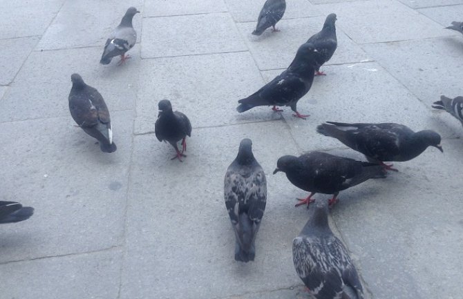 Danas sunčano i veoma toplo