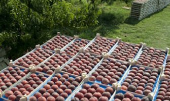 Povrijeđena sezonska radnica na 