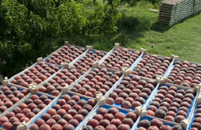 Povrijeđena sezonska radnica na 