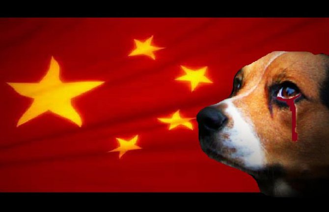 Najokrutniji festival na svijetu - festival psećeg mesa!