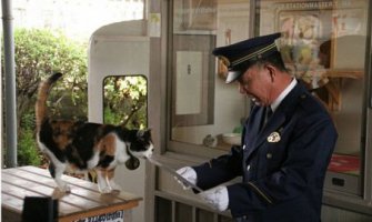 Uginula Tama, mačka koja je spasila japansku željezničku stanicu od bankrota