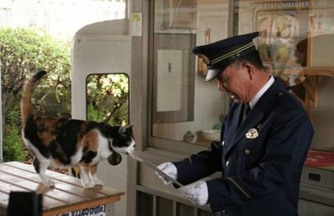 Uginula Tama, mačka koja je spasila japansku željezničku stanicu od bankrota