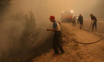 Požar na Dajbabskoj gori lokalizovan