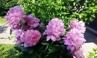 Danas sunčano i toplije, do 33 stepena