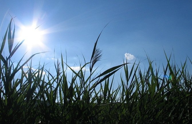 Sunčano, do 33 stepena