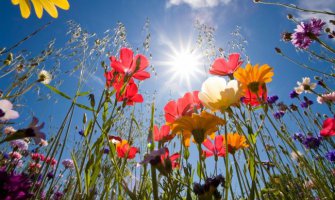 Pretežno sunčano, do 29 stepeni