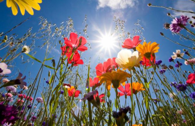 Pretežno sunčano, do 29 stepeni