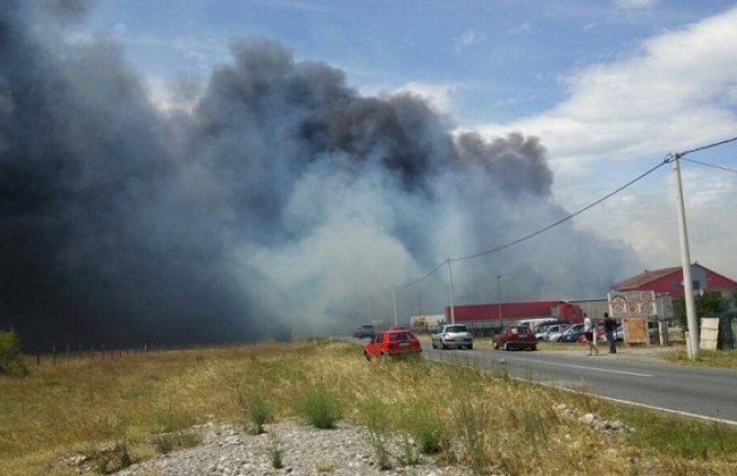 Podgorica: Za dvije sedmice 362 požara