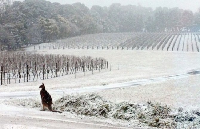 U Australiji pada snijeg!