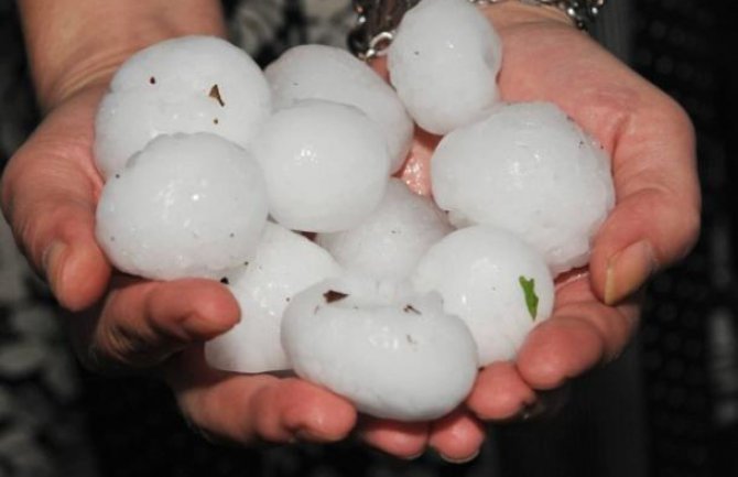 Grad veličine jajeta uništio poljoprivredne usjeve